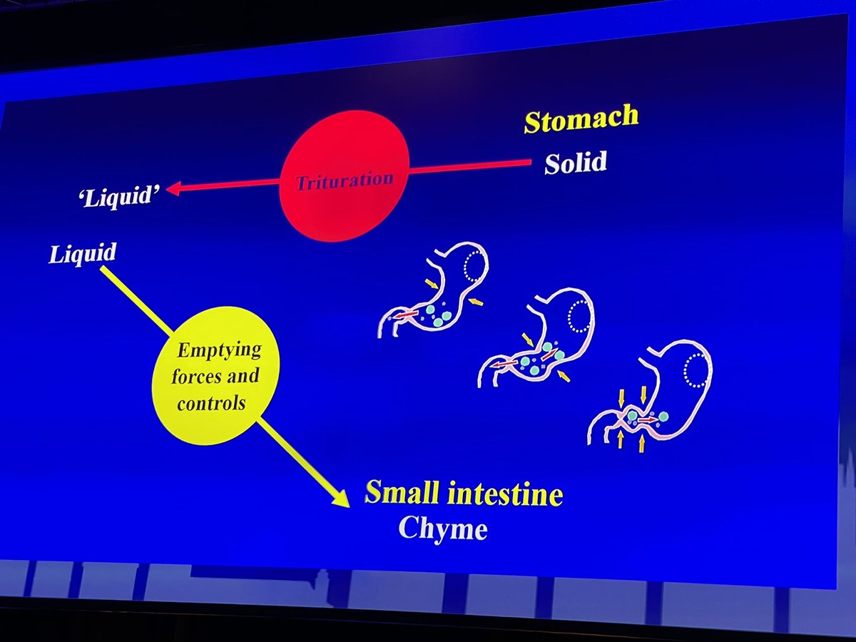 GPacyk's tweet photo. #Diabetic #gastroparesis ellegantly and masterfully reviewed in Camillo Golgi Lecture by prof. #MichaelHorowitz: obligatory knowledge for diabetologist &amp; gastroenterologist  #EASD2022 #Stockholm https://t.co/92C6hfrw0c