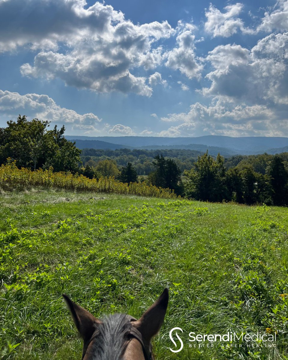 serendimedical's tweet image. Today's trail ride.
