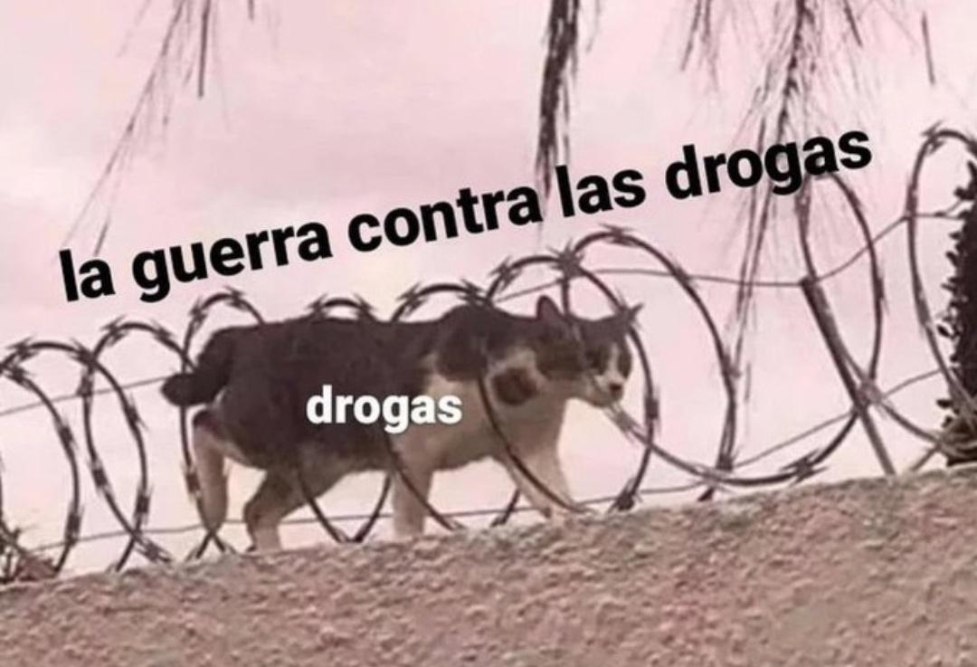 Martín Santos (@martinsantosr) on Twitter photo 
