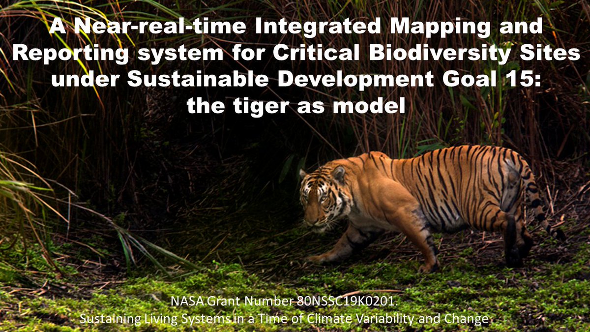 BzGEO's tweet photo. Next up @ #NASABEF, @theWCS' Dr. @EWSanderson is presenting on their #EarthEngine-leveraging @EO4SDG-related project, "A Near-real-time Integrated Mapping and Reporting system for Critical Biodiversity Sites under #SDG 15." π― #BEF
https://t.co/RaPohxxJvs https://t.co/Fx6OWvUC0L