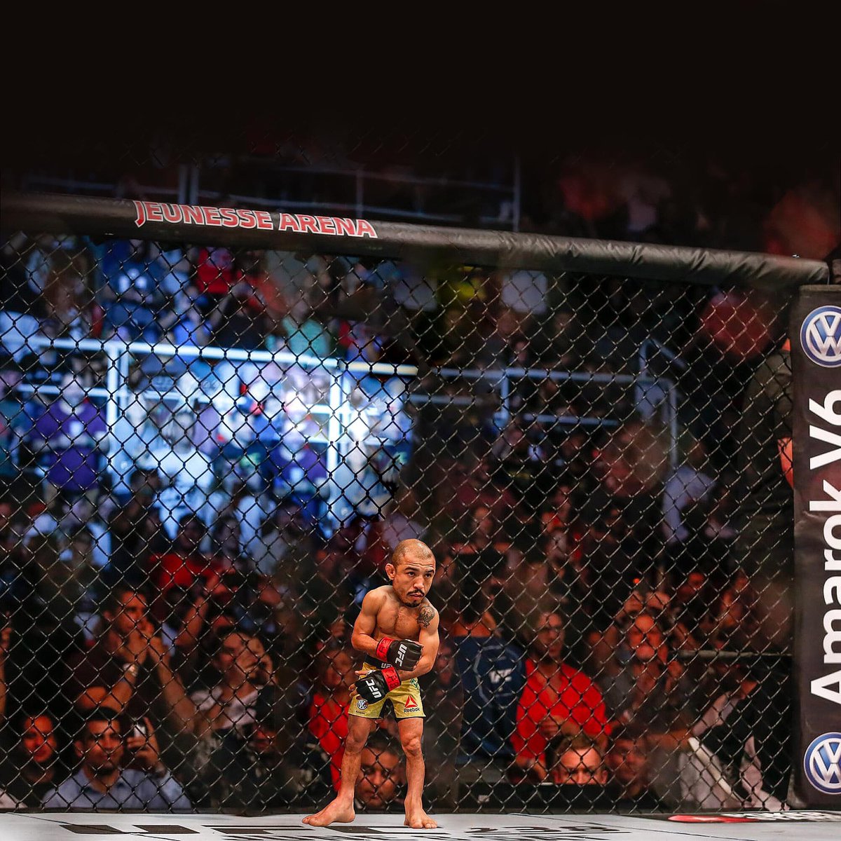 Sanabul's tweet photo. With the legend @josealdojunior announcing his retirement, we decided to salute him with this week’s #TinyFighter Congratulations on your career Jose. 🤝 https://t.co/yqcJDJiL9F
