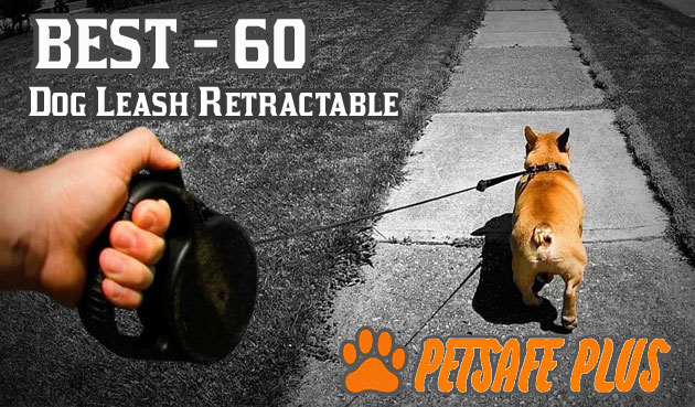 harnessbiner's tweet photo. Dog Leash Retractable | 60 Best Retractable Dog Leash | retractable dog leash heavy duty
https://t.co/E3vur9rfjv
#petsafeplus #petshop #petsupplies #dogsoftwitter #dogs #dogtrainingtips #petlovers #dogleash https://t.co/jqkS7KvRbp