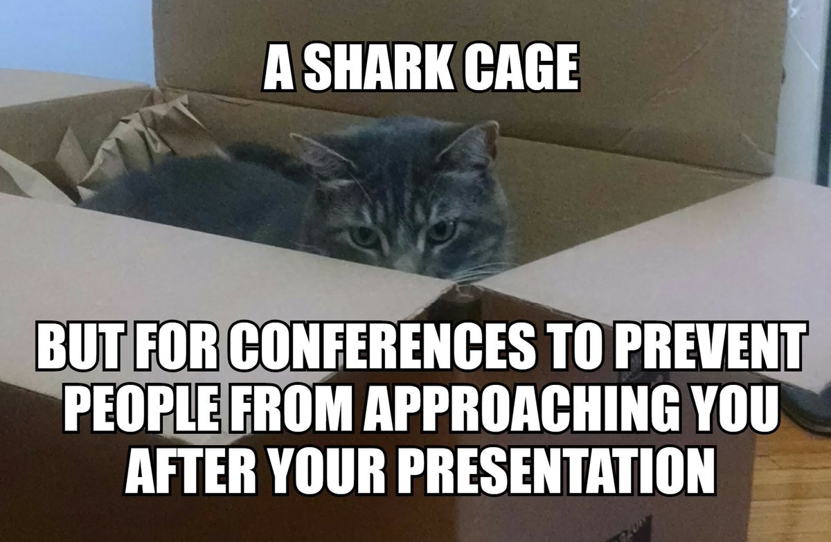 PhD_Cat1's tweet photo. https://t.co/W8yNsh1SnJ