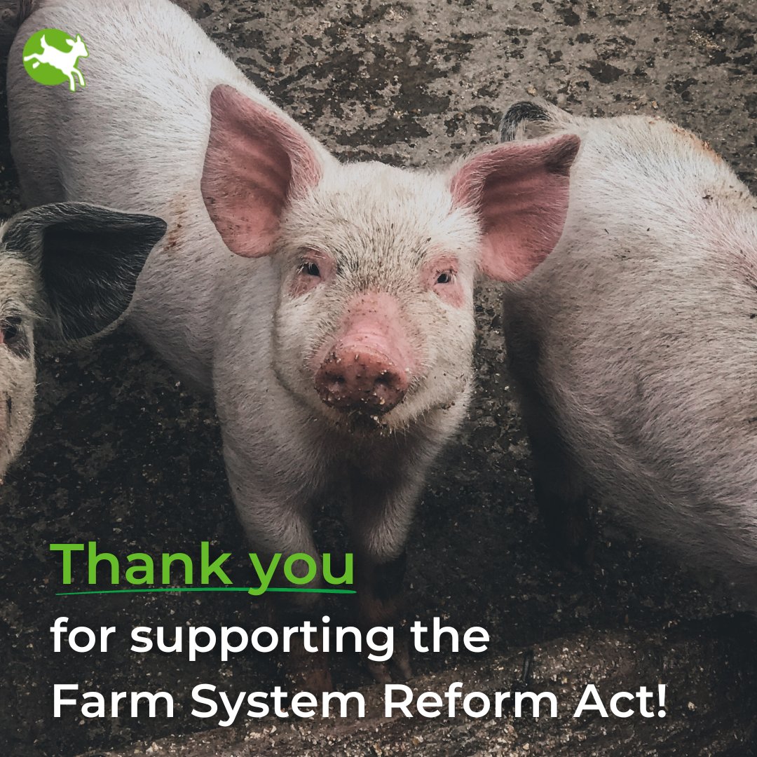 ciwfusa's tweet photo. For animals, people, and the future of our planet, we must end factory farming. Thank you @CongressmanRaja for your support of H.R.4421!

#EndFactoryFarming #FarmSystemReformAct https://t.co/4JhVOPtcai