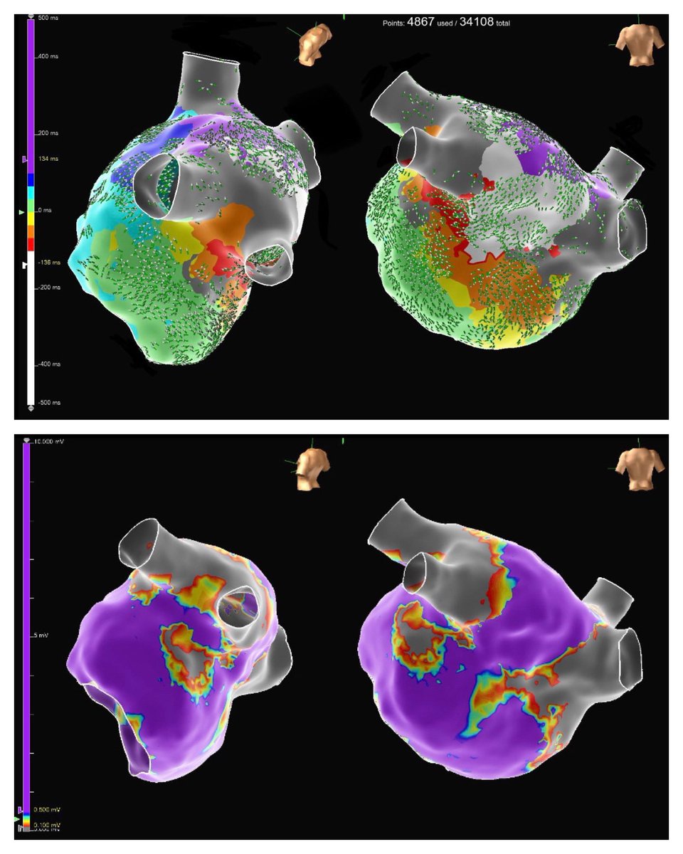 Meghan Philpot tweet media