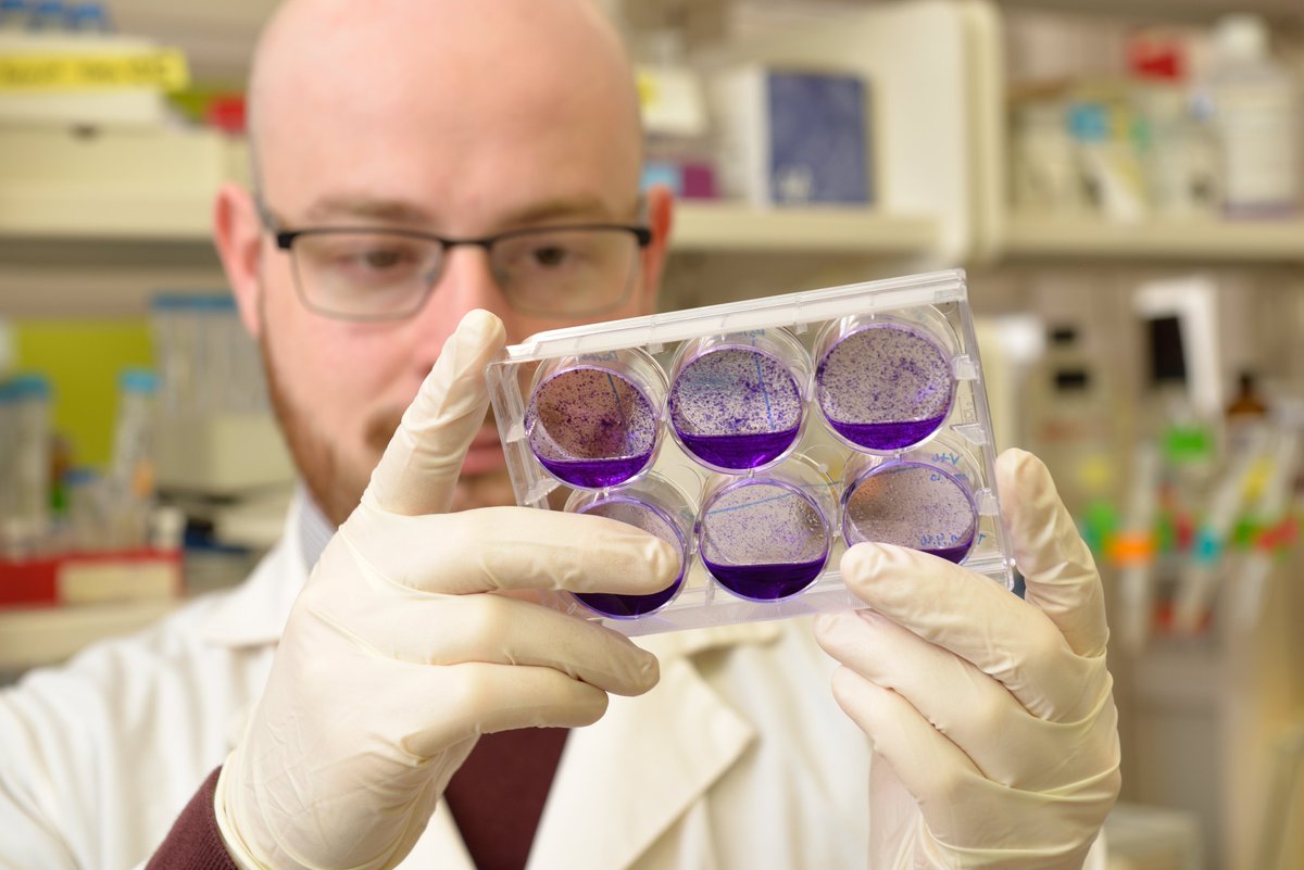 MSU Cancer Research tweet media