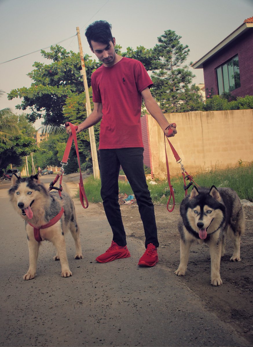 mafiaking690's tweet photo. Hasky ❤🥱

#waleedkhan #thewaleedafridi #waleedkhanyoutuber https://t.co/B0xnccmE2L