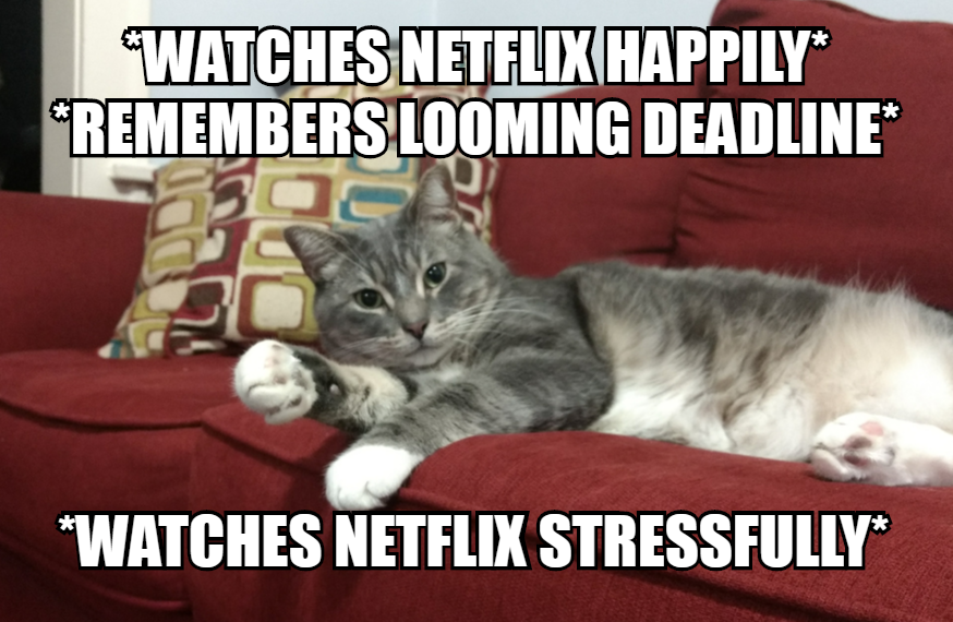 PhD_Cat1's tweet photo. https://t.co/qBpa9IIx0F