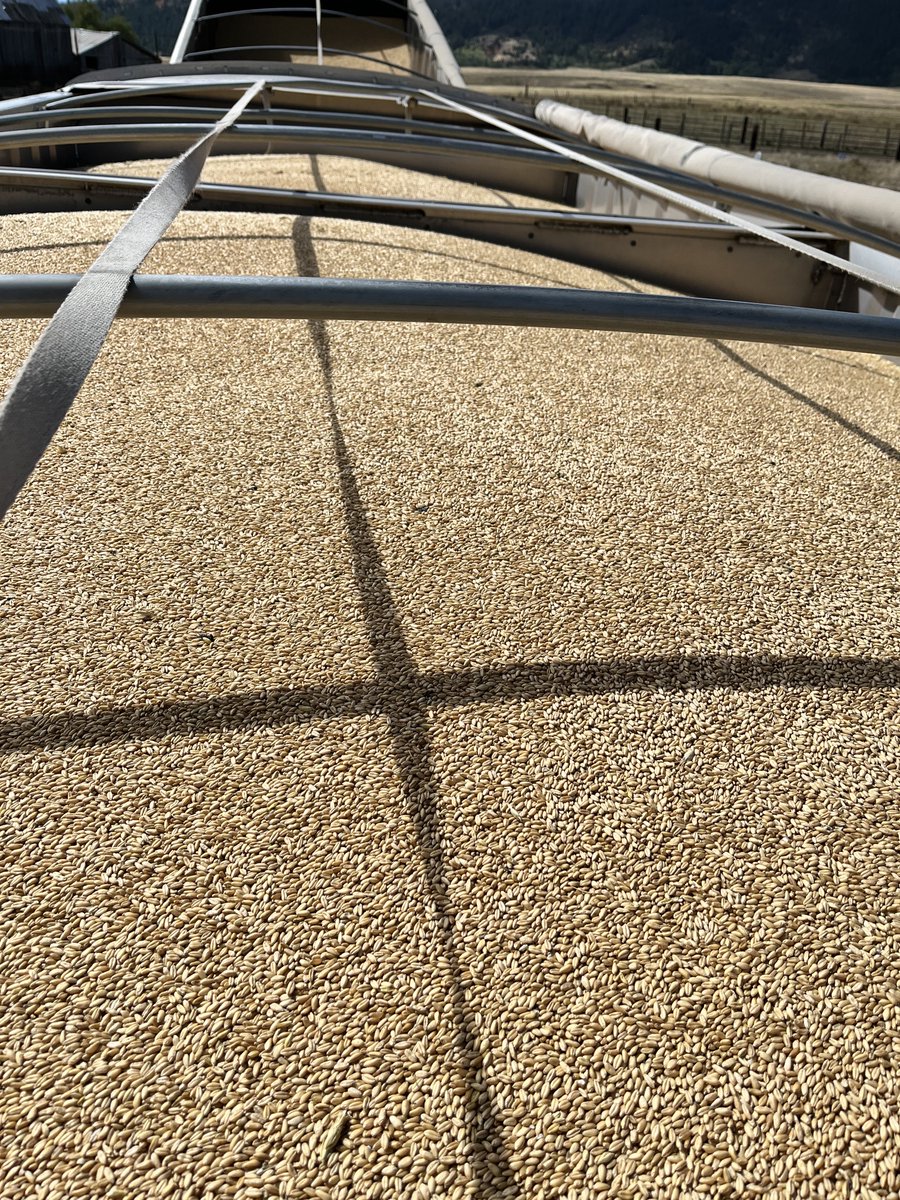 After 3 years of running John Deere combines and struggling to get a sample we’re happy with we finally have it.  
We’ve adjusted, tinkered, replaced, changed, and observed, in the end the biggest difference was…..

hiring the neighbors with three gleaners to come cut with us!