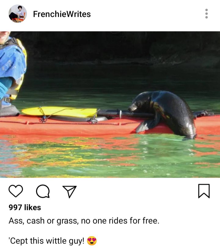 Frenchie's IG: photo of a kayak with a seal on the back.
Caption: ass, cash or grass, no one rides for free.


Cept this wittle guy! 😍