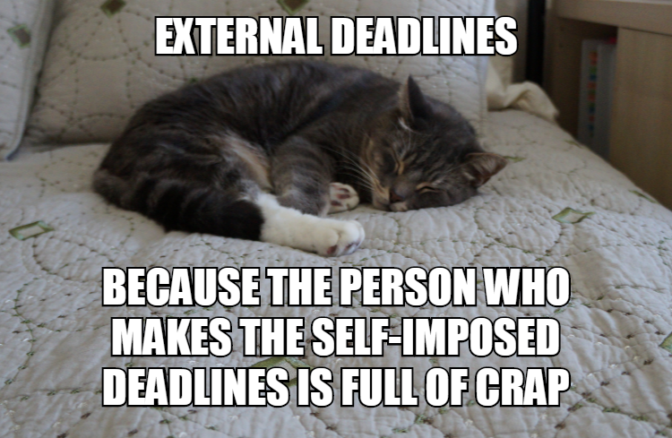 PhD_Cat1's tweet photo. https://t.co/nQNqx29R6d