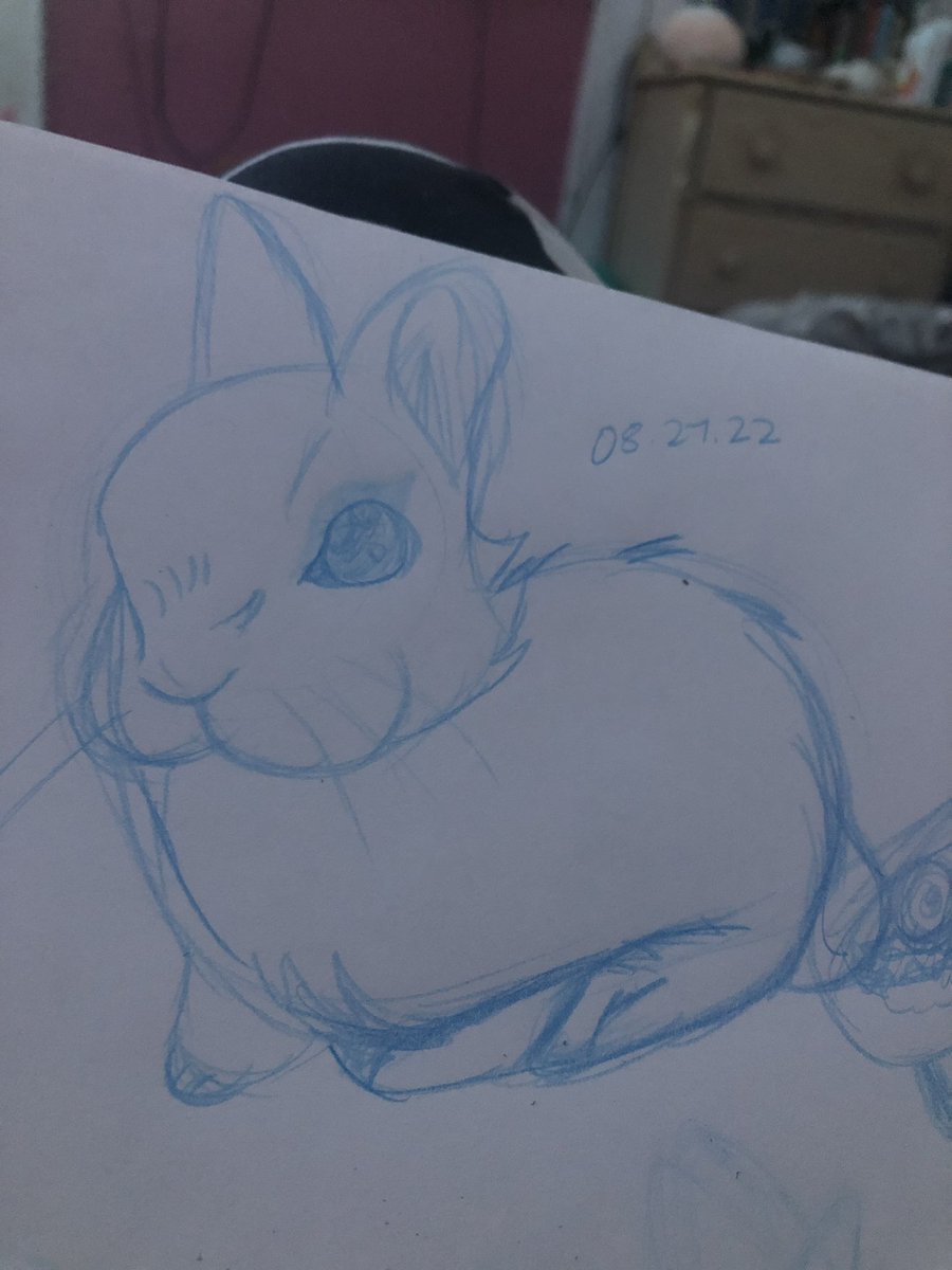 heIIgender's tweet photo. animal doodles i did a few weeks back 💘 https://t.co/G9eeGDGPdL