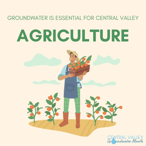 kingsrivercd's tweet photo. Did you know that the Central Valley depends on groundwater for residential, economic, and agricultural uses? 👩🌾🤝💲 In times of drought, groundwater becomes the major source of water for those living and working in the Central Valley. 💧
#CVGM #CentralValleyGroundwaterMonth https://t.co/bTN6MJJP6V