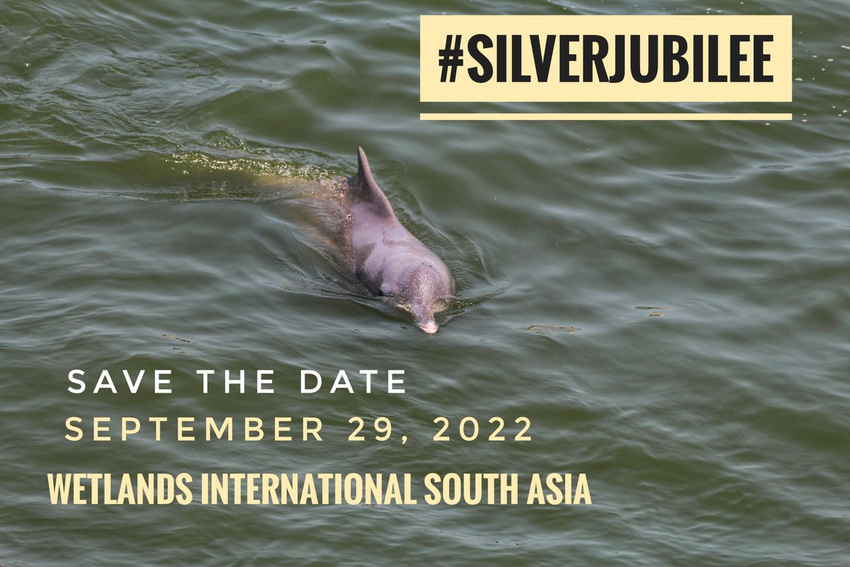 #HardWorkPays Wetlands International South Asia is celebrating its Silver Jubilee on September 29,2022 at @habitatworld New Delhi. 
Hon’ble Minster of State for External Affairs and Education <a href="/RanjanRajkuma11/">Dr. Rajkumar Ranjan Singh</a>  will be the chief guest. 
Save the date!
#SilverJubilee