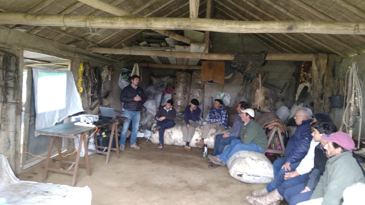 PlanAgro's tweet photo. #Hoy en📍Treinta y Tres
Jornada "Estrategias para el engorde de corderos en sierras del este" en Escuela 56, paraje El Rosario, 8va Secc. 
Técnico de @CentralLanera, Ignacio Tort, disertando sobre comercialización de Ovinos.
@SUL_uy #CAD33
Santiago Barreto #PlanAgropecuario https://t.co/IQiYpRRSeS