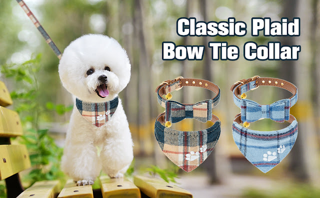 harnessbiner's tweet photo. Dog Collar Set | Bark And Training Collar | Preventic Tick Collar For Dogs | Grey Dog Collar
Click Here: https://t.co/EvLHEXPaNn
#petsafeplus #petshop #petsupplies #dogsoftwitter #dogs #dogtrainingtips #petlovers #dogleash #dogcrate #dogharness https://t.co/0Nv5uk7PTP