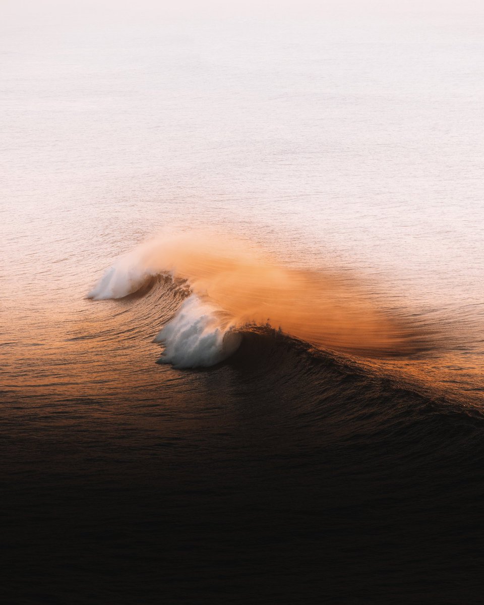 platouxx's tweet photo. Golden Waves 🌊

Both are available with a reserve of 0.25 ETH, this is the lowest entry point to any of my 1/1 pieces. https://t.co/s2MclFLdW8