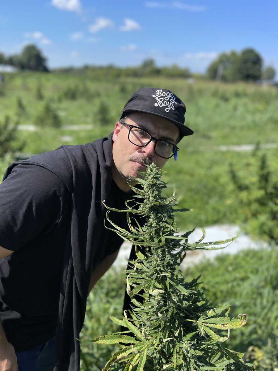 PHARM CBD tweet media