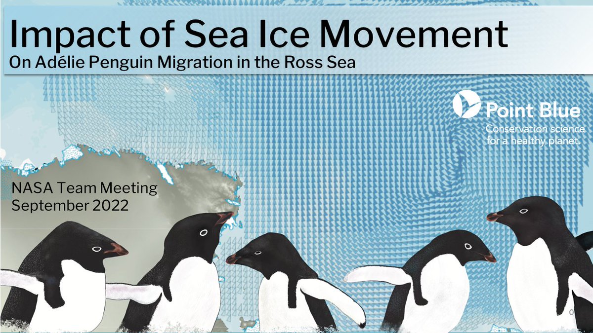 BzGEO's tweet photo. Who doesn't like penguins π§π§? Next up at the #NASABEF meeting, Dr. Leo Salas of @PointBlueConSci will be presenting on the "Impact of Sea Ice Movement on AdΓ©lie Penguin Migration in the Ross Sea." π§
https://t.co/TcmZh3xW5p https://t.co/kzkFMQSqYj