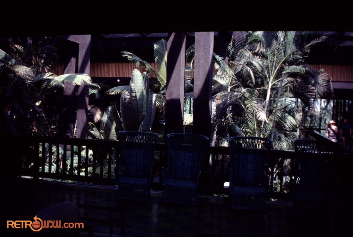 RetroWDW's tweet photo. Polynesian Village Resort Lobby

Oldman Collection September 1978 (Brian) Photo Album:
https://t.co/otqeumFei2

#RetroWDW https://t.co/YN7XRrXazV
