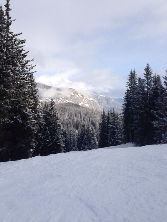 EnchantedBookc's tweet image. 🔪📖OCTOBER BOOK REVEAL📖🔪

The winner for October is 🥁

The Sanatorium by Sarah Pearse!!!
Details: goodreads.com/book/show/5693…