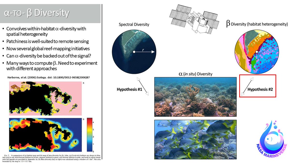 BzGEO's tweet photo. Dr. Sam Purkis of U. Miami's RSMAS is now presenting at the #NASABEF meeting on "MarineVerse - the Marine Biodiversity & Scaling Project." π€
https://t.co/KF9dwDCBwK https://t.co/8SzkzovO63
