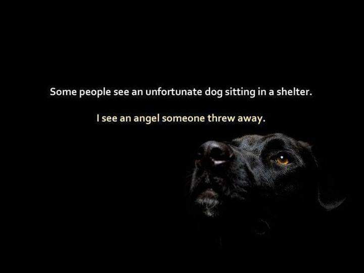 Da Kingslayer (@kingslayerkennl) on Twitter photo 