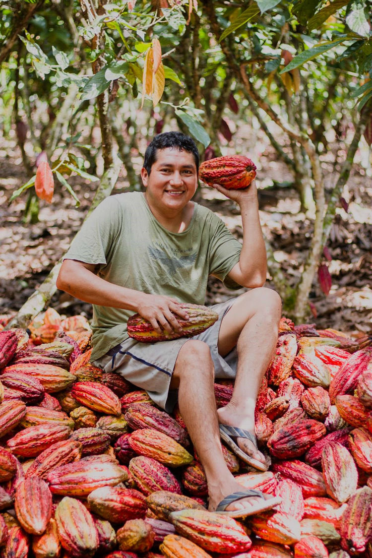 Peru is the ninth largest exporter of cocoa in the world. 71,000 tons a year. 🤯