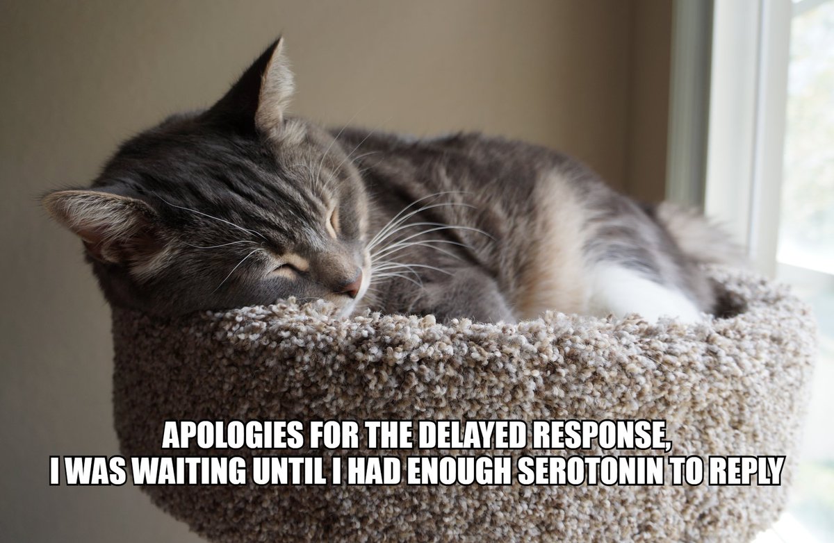 PhD_Cat1's tweet photo. https://t.co/Of0rxveqks