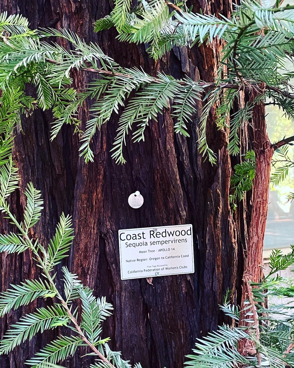 California State Capitol Building tweet media