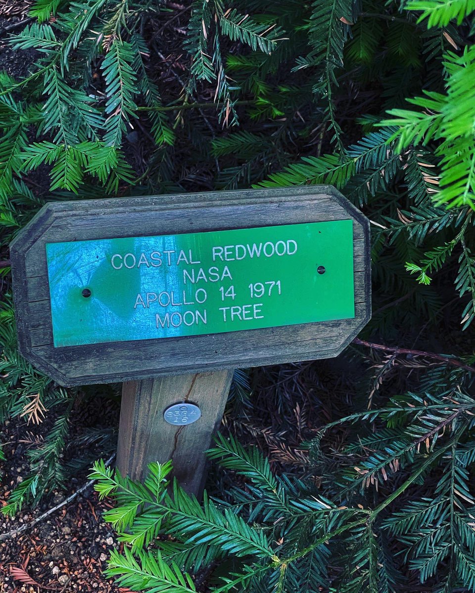 California State Capitol Building tweet media