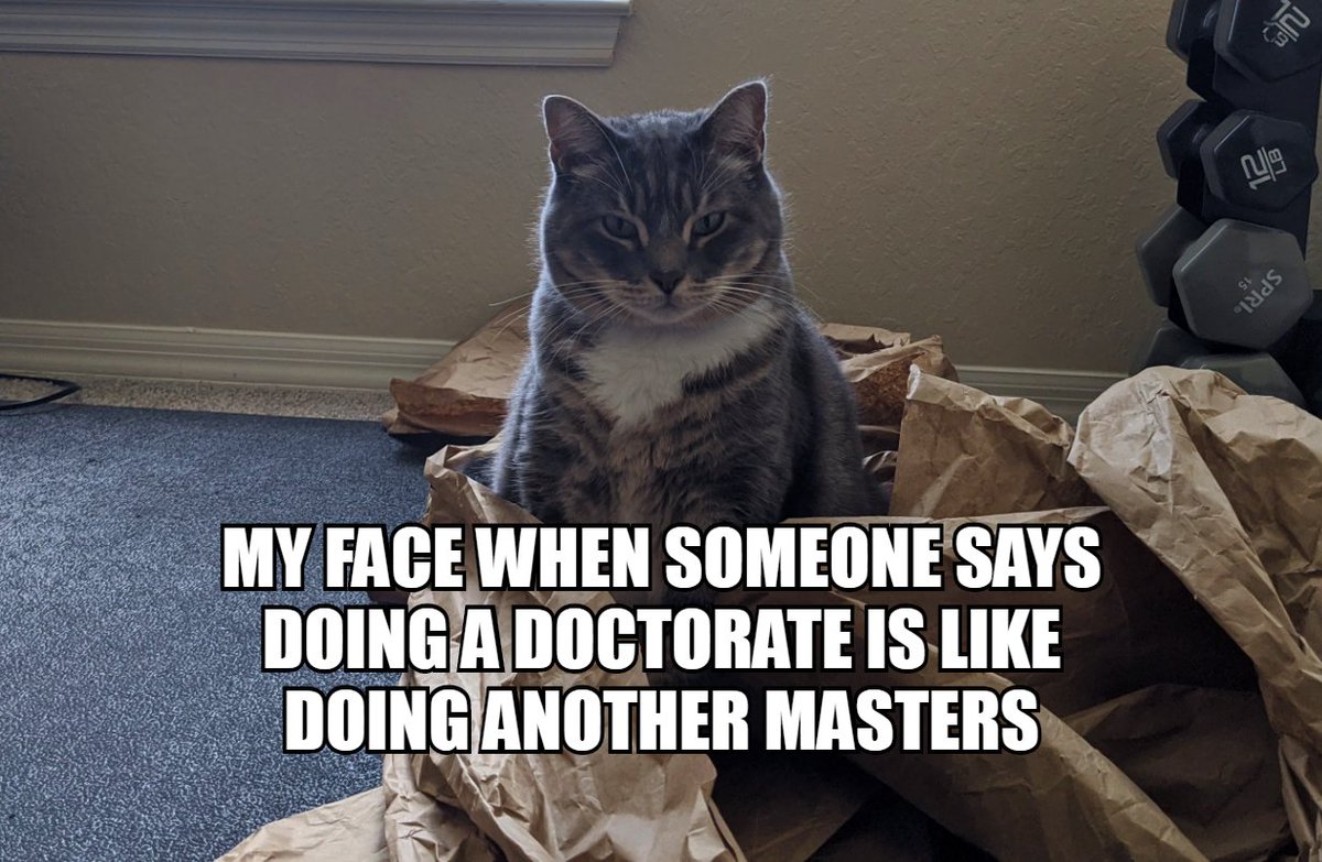 PhD_Cat1's tweet photo. https://t.co/9nvyCHhuVn
