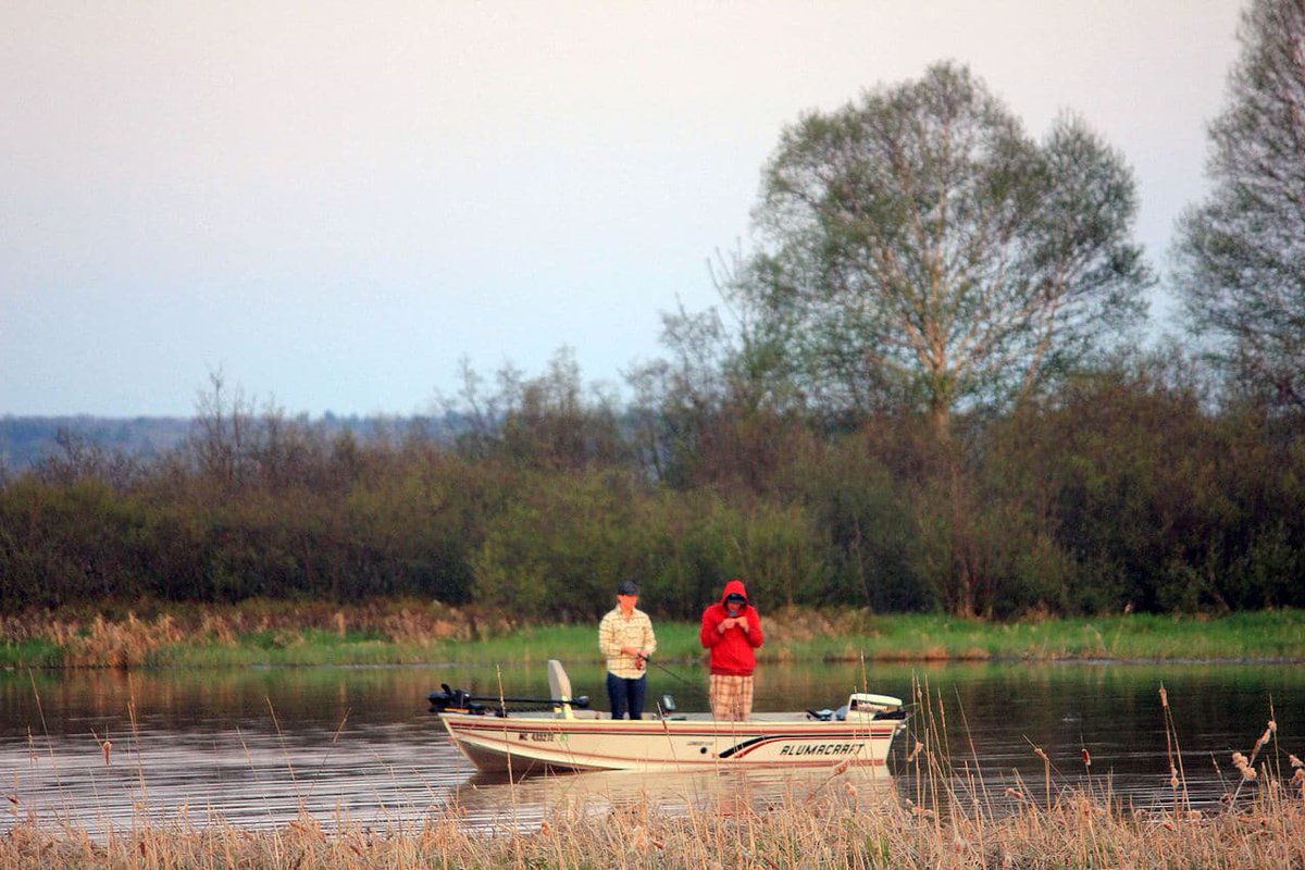 Brown Trout: Fishing Tips for Michigan Waters - Outdoors 
bit.ly/2Wl3A8W
#fishing #fishingtips #trout