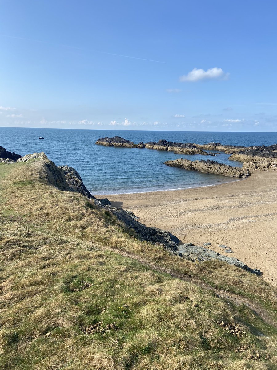 Lisa Sutton tweet media