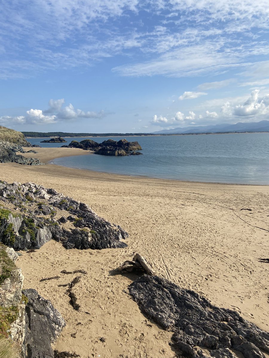 Lisa Sutton tweet media