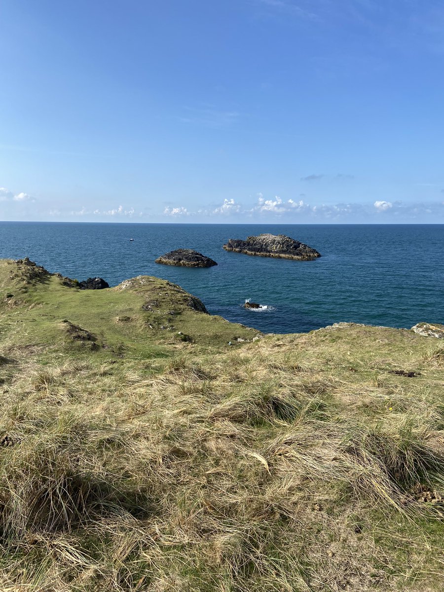 Lisa Sutton tweet media