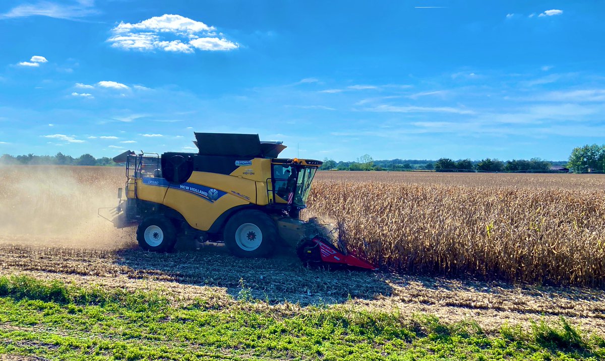 Corn harvest has begun in Allier 🌽🌽🌽🌽😀😀😀   @NewHollandAgFr #capello