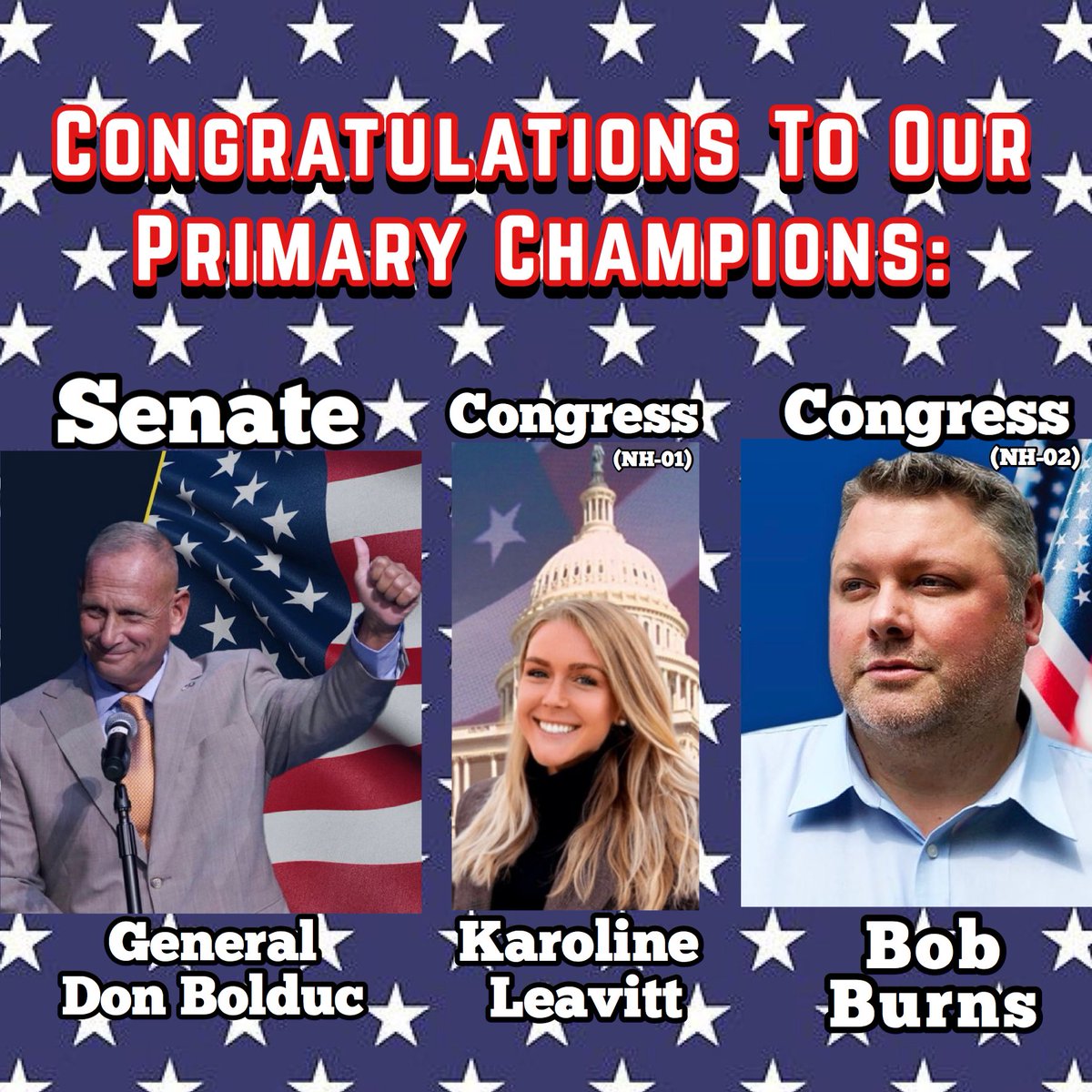 SaveAmericaMAGA's tweet photo. Congratulations to all 25 Save America Strategies endorsed candidates that won their Primary Election exactly one week ago!🥇🎉

It’s time we all rally behind our Republican Nominees, Federally &amp; Locally, to STOP Democrats from destroying our country. 
#SaveAmerica 🇺🇸🦅 https://t.co/amjjNF4Kxh