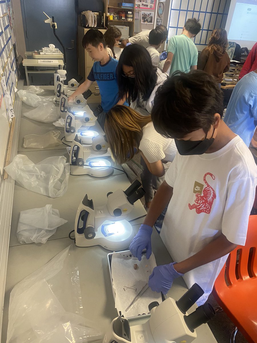 SMSChallengers's tweet photo. 7th grade Science learning about bacteria! #MoldyBread #Stinky https://t.co/XwLGV8RnyA