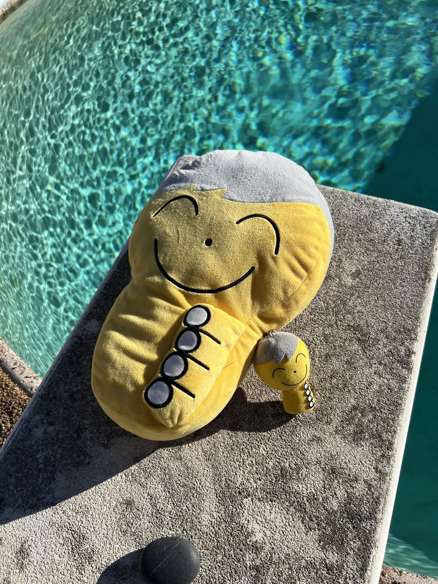 esakwan's tweet photo. #DKUN having sunbathe 😁😁 https://t.co/Dh6Knx903N