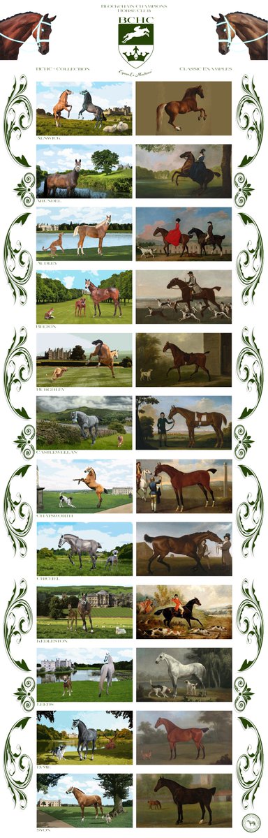 BCHC_HorseClub's tweet photo. BCHC vs. Traditional https://t.co/tPBMy4I7wT