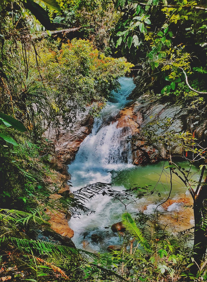 kazaztan's tweet photo. Ada yang berani meneruskan perjalanannya. Ada mungkin perlu jeda, mengambil nafas. Atau mungkin berhenti mengubah haluan.
#waterfall #sungaichiling #quotes #nature #photography #PhotoOfTheDay https://t.co/2uyrz6bgCX