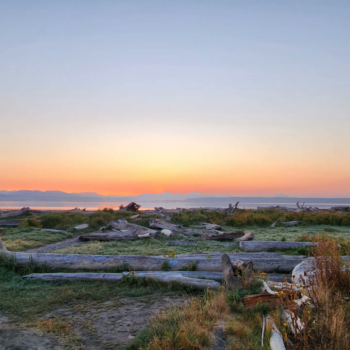 Jane Urquizu tweet media