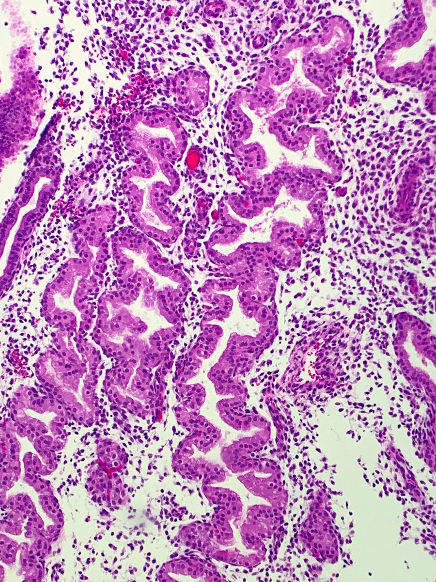 Janira Navarro tweet media