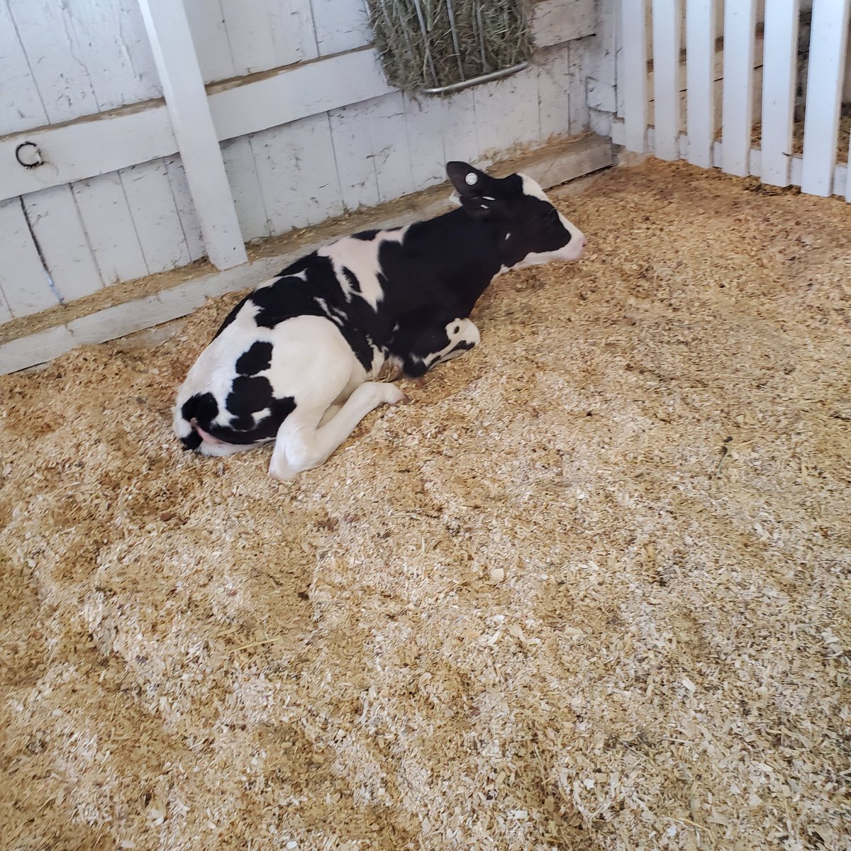 Jennifer Tony tweet media