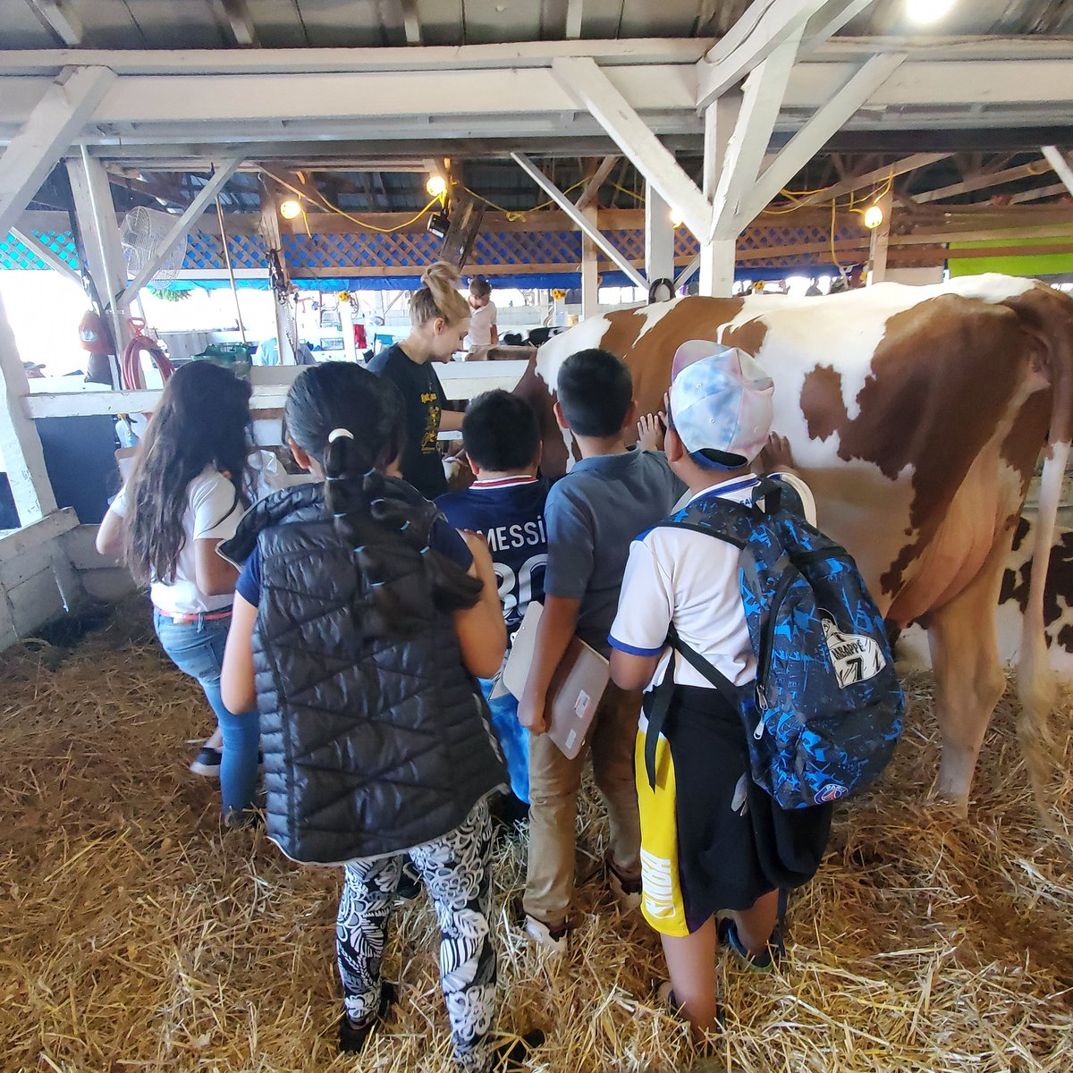 Jennifer Tony tweet media