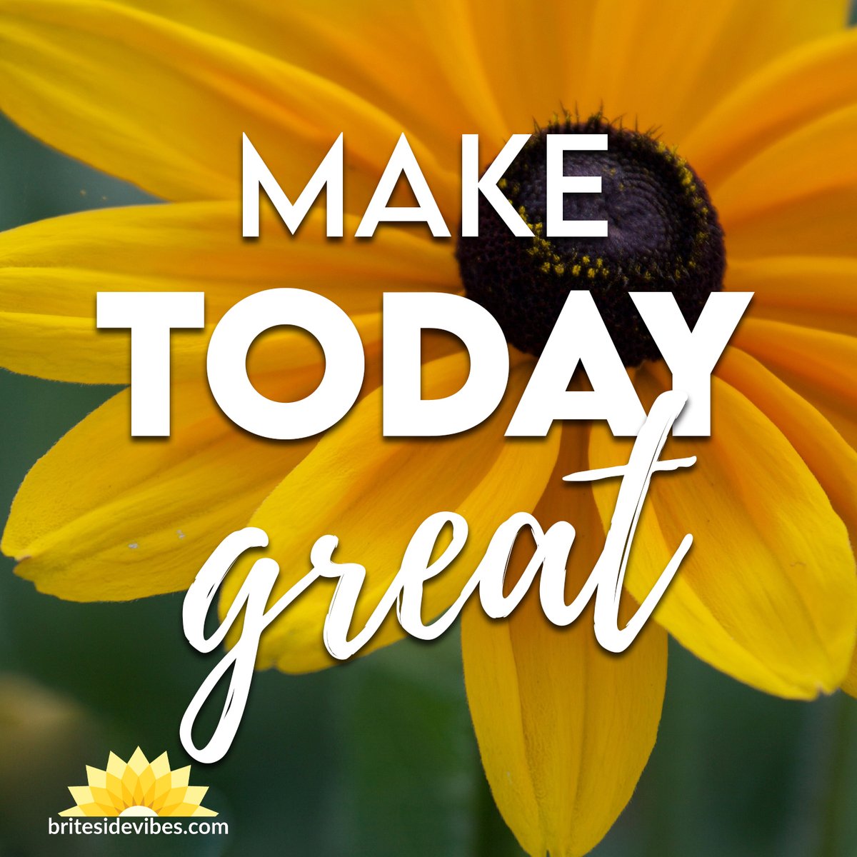 britesidevibes's tweet photo. Make Today Great. π
https://t.co/o3R47Y24jz
#britesidevibes #goodvibes #mindset #happiness #inspiration #positiveattitude #quotes #motivationalquotes https://t.co/JVsGoEmlkq