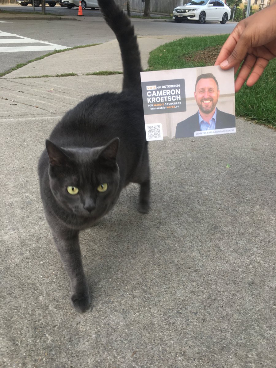 CameronKroetsch's tweet photo. Love and thanks to Vikram, Matt, Zimo, and Tory for representing me at the doors to residents (and these cute kitties) in the Central neighbourhood tonight. #KnockDoors #HamOnt #CatsForCameron https://t.co/W1GBwCreUi