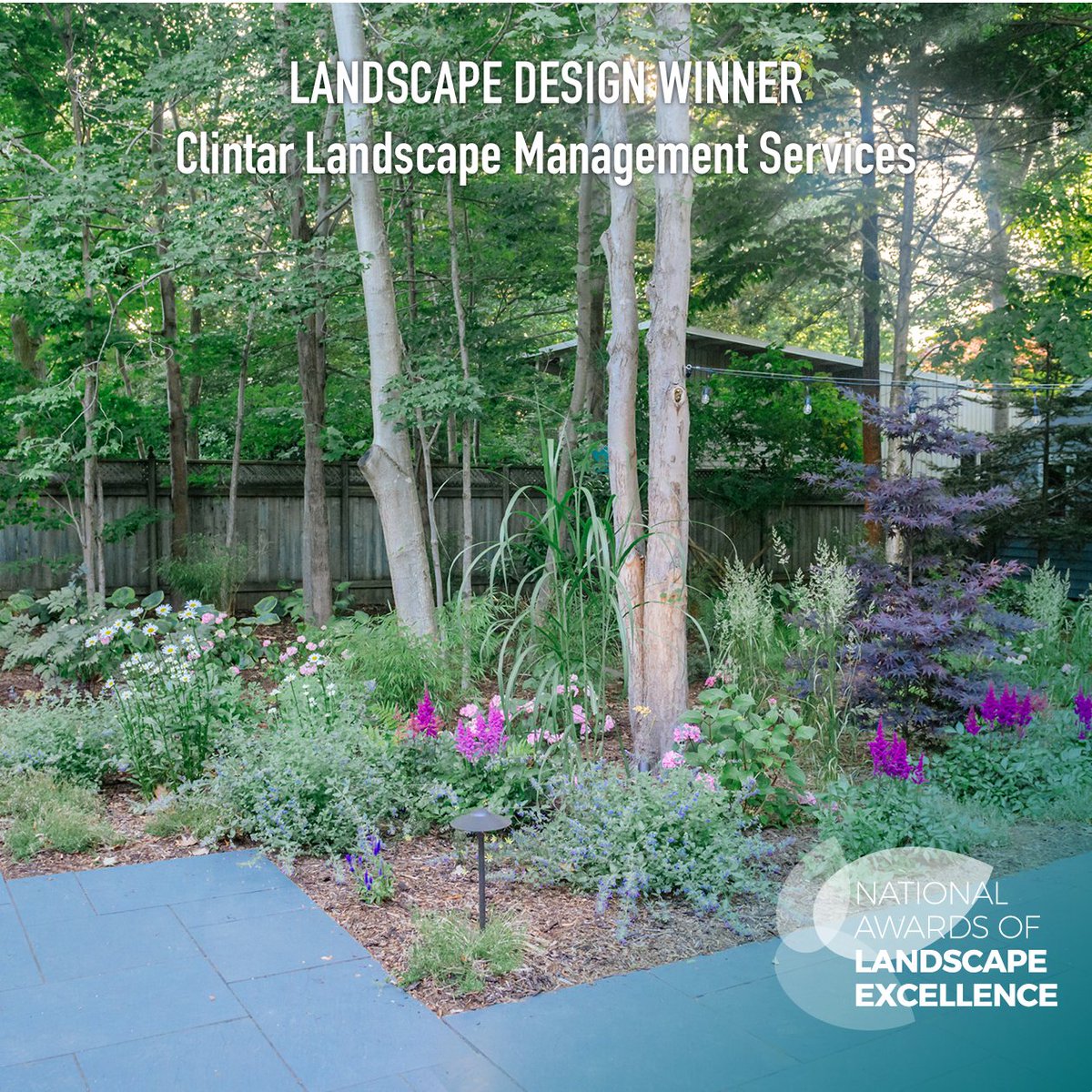 CNLA-ACPP tweet media