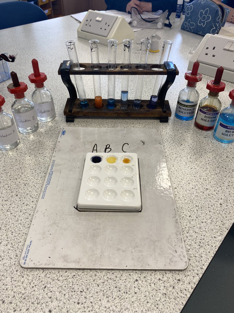 Fantastic work from S3 #biology today looking at different food tests as part of their Digestive System topic! #experiment #activelearning